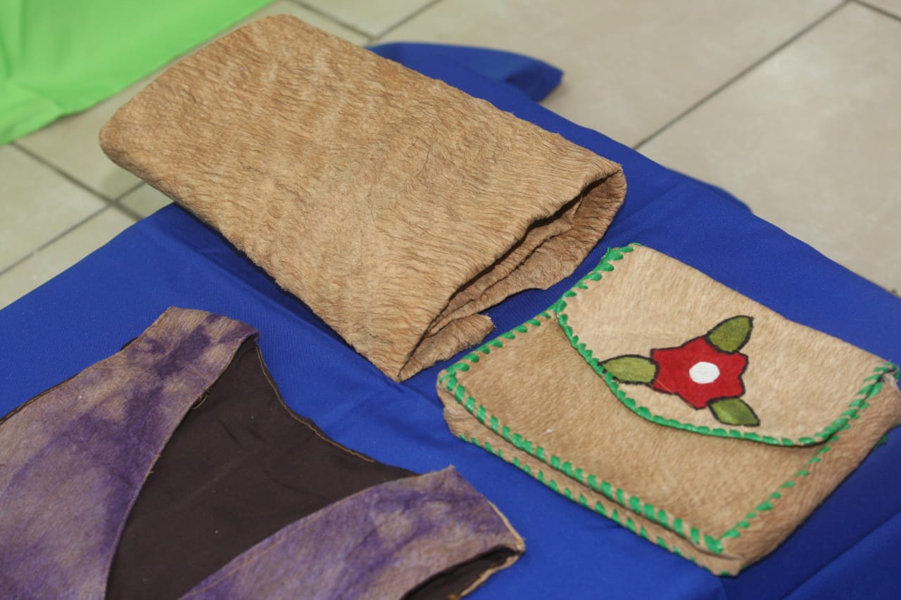 indigena2